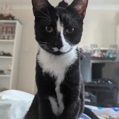 Unedited Photos of Galaxy