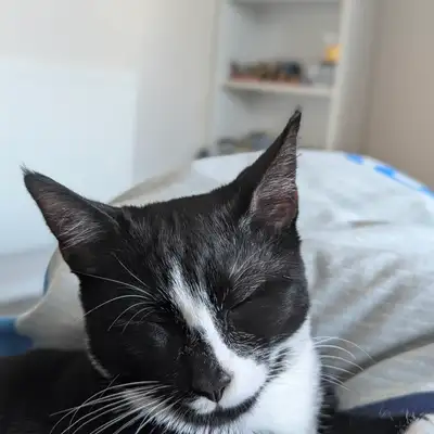 Unedited Photos of Galaxy