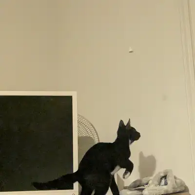 Unedited Photos of Galaxy