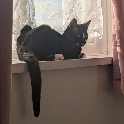 Unedited Photos of Galaxy