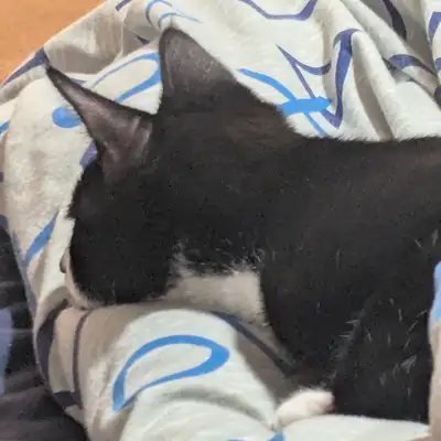 Unedited Photos of Galaxy