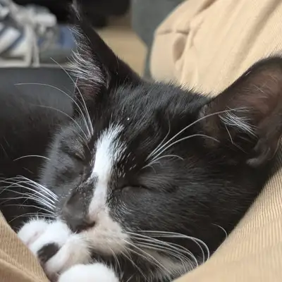 Unedited Photos of Galaxy