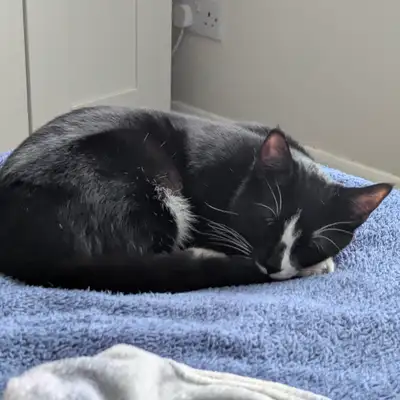 Unedited Photos of Galaxy